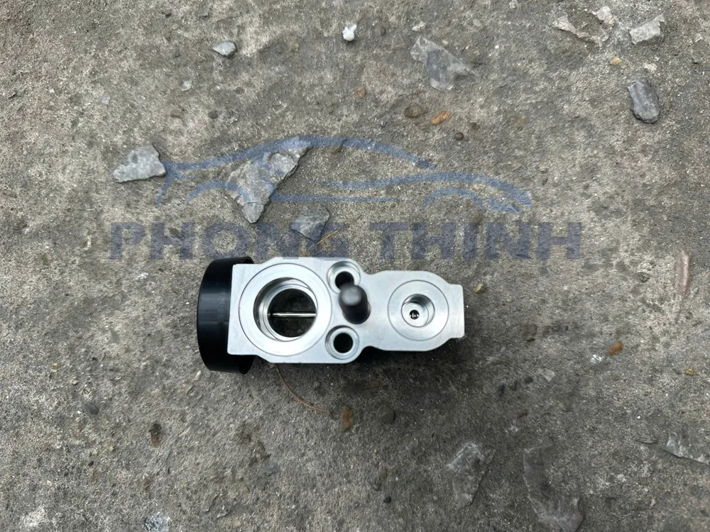 Hình ảnh sản phẩm Van tiết lưu Ford Ecosport 2014-2022 chính hãng - GN1119849BA